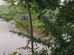 -重庆彩云湖湿地公园