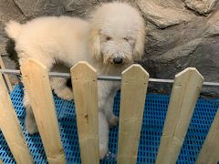 -MOJO密室逃脱(中街旗舰店)