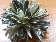 -鼎盛蜀坊·重庆江湖菜(市桥地铁站店)