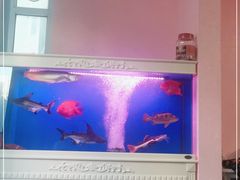-好伦哥比萨烤肉自助(马家堡店)