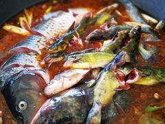 大锅鱼-小赖鱼馆