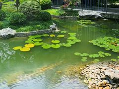 -云溪植物园