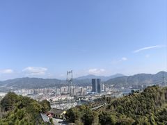-史记安仁鱼头(浙闽赣食用菌交易中心店)