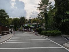 -圣淘沙天际线斜坡滑车