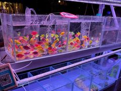 -中环花鸟鱼虫市场