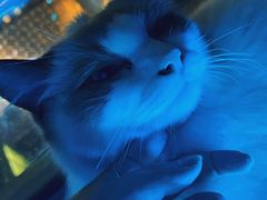 -零纪元VR体验馆·桌游(黄浦店)