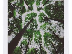 -山王坪喀斯特国家生态公园