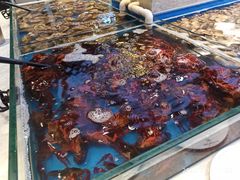-川骄海鲜自助(河东店)