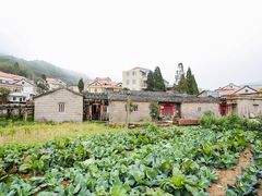 -军营村