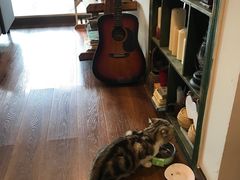 -参差咖啡(水果湖公园店)