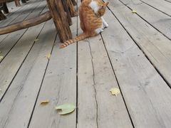 -天目湖御水温泉·度假酒店