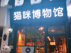 -猫咪博物馆(顶澳仔猫街店)