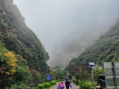 -少华山国家森林公园