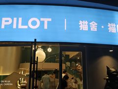 门面-飞行喵MR PILOT|猫舍·猫咖(静安大融城店)