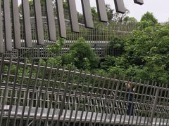 -福道