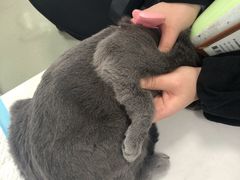 -美美宠物诊疗中心·异宠·骨科(滨江东信分院)