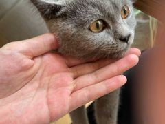 -春笙食堂.丼饭拉面寿司(GOGO新天地店)