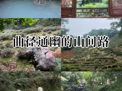 -十八棵（老龙井）御茶园(老龙井店)