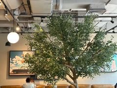 -Wagas沃歌斯(环贸店)