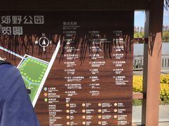 -上海长兴岛郊野公园