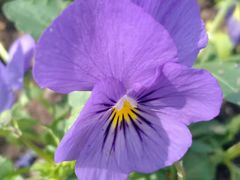 -长春公园(普阳街道)