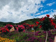-云端彼岸马场