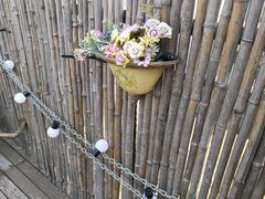 -小草屋轰趴馆别墅派对新场团建家庭聚会