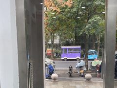 -四月宠物医院·猫专科·心脏专科·内科(转塘店)