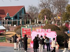 -荷兰花海