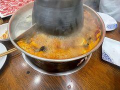 -楼外楼大刀肉传统火锅居(博学路店)