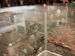 -小天鹅戴斯酒店鲸鲨百汇创作料理