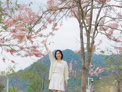-白石龙音乐公园