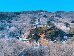 -妙峰山风景名胜区