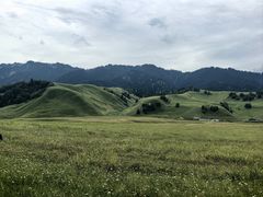 -新疆那拉提国家旅游度假区