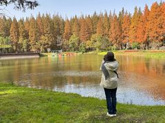 -黄海国家森林公园