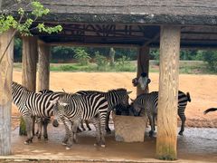 -杭州野生动物世界