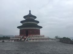 -黄贤森林公园