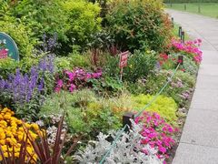 -西湖外事游船(花港观鱼码头)