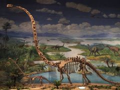 iphone_upload_pic-自贡恐龙博物馆