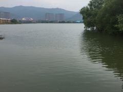 -长兴太湖图影湿地文化园