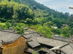 -杨家堂村