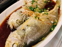 清蒸小黄鱼-黄寺蒸汽海鲜(黄寺大街店)