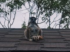 -宁波野生动物园