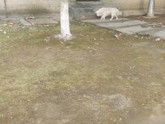 -张公山寨景区