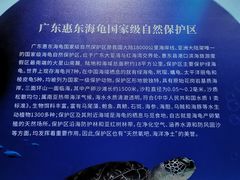 -广东惠东海龟国家级自然保护区