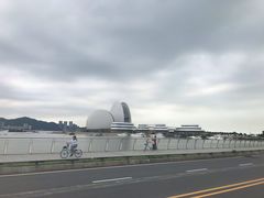 -野狸岛