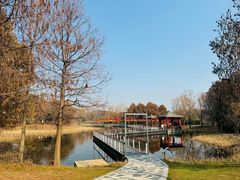 -同里国家湿地公园
