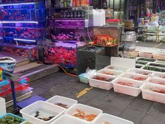 -青石桥花鸟鱼虫市场(叠翠城店)