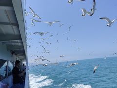 -海驴岛(荣成市)