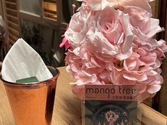 -mango tree芒果树餐厅(广州K11购物艺术中心店)